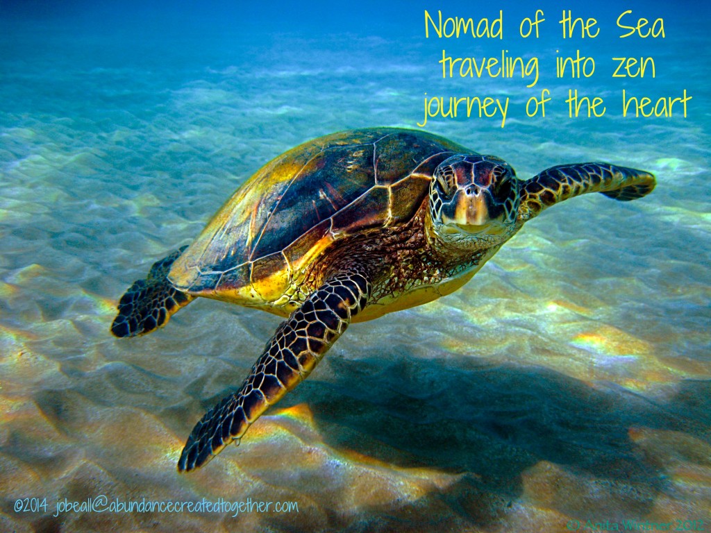 Named Sea Turtle 2