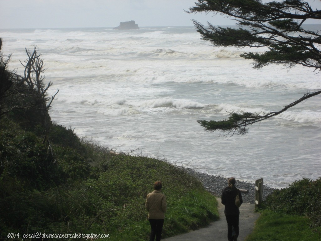 Named Whale Watching 2014 004