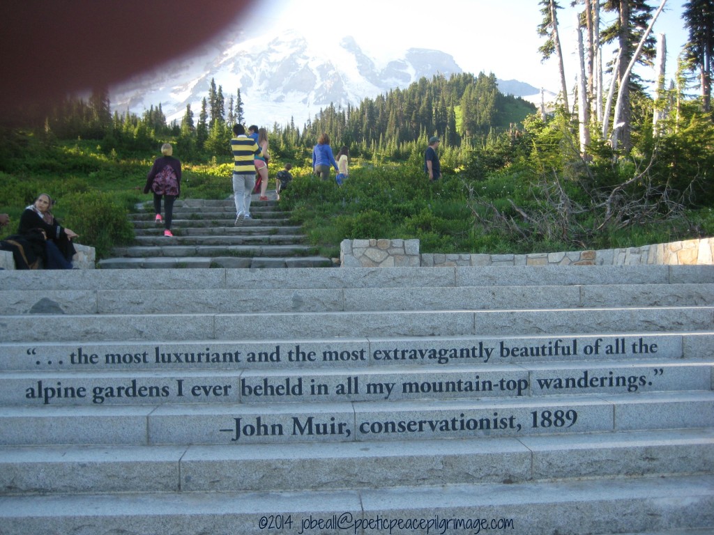 Named Radical Joy 29 Mt Rainier July B'day Pilgrimage 052 John Muir