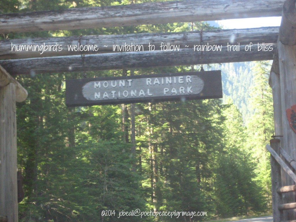 Named Tahoma Awakening 1 Mt Rainier July B'day Pilgrimage 031 Entering