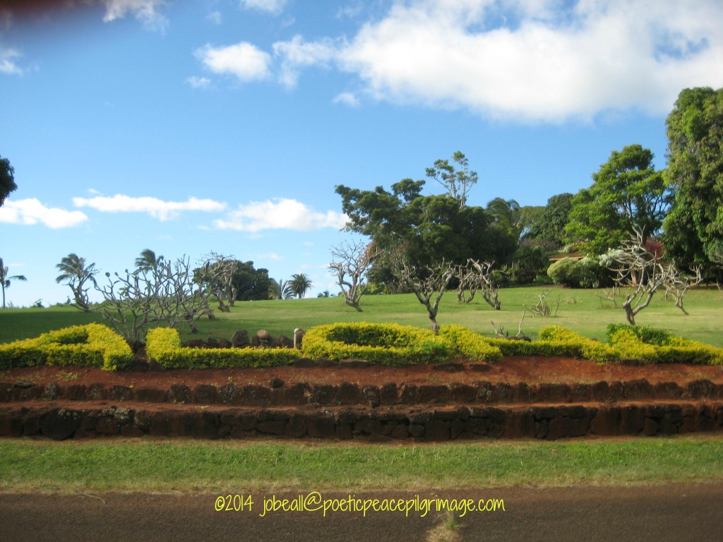 Named Kaua'i 11-26-14 007 Aloha