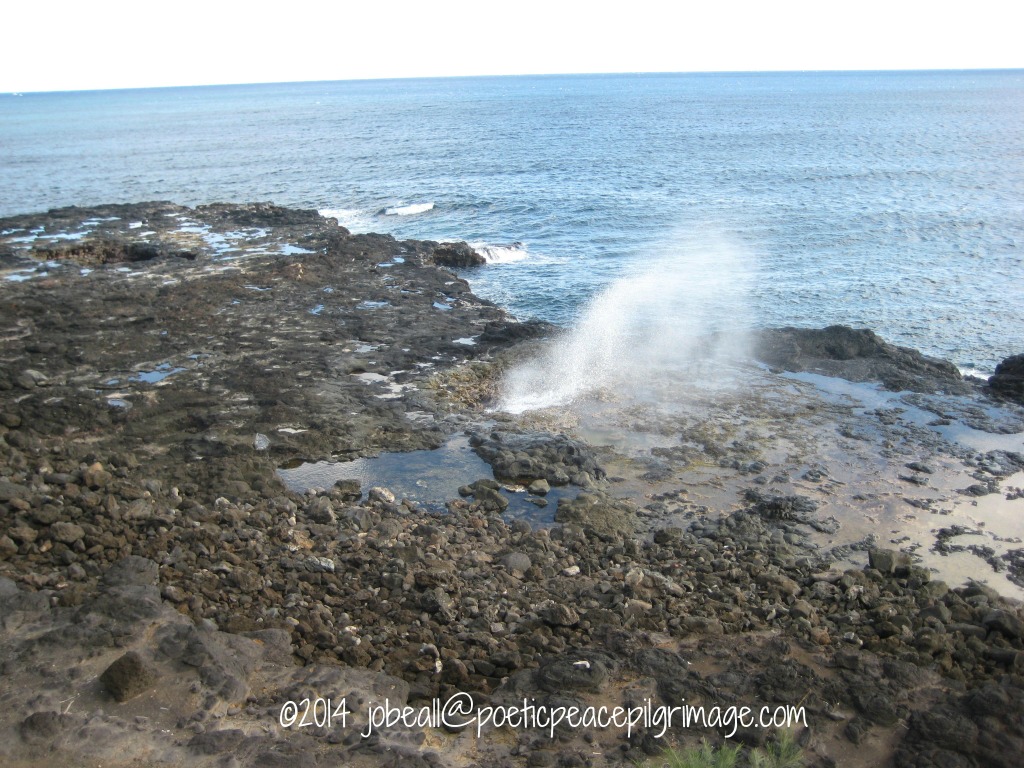 Named Kaua'i 11-26-14 014 Spouting Horn