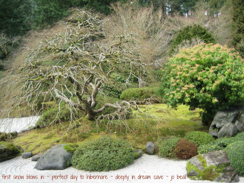 Named Trees 13 Oregon Japanese Garden 2-12-14 Tree+