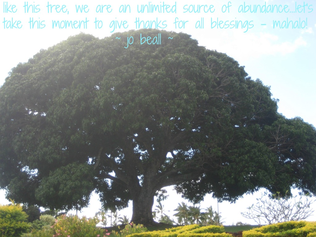 Named Trees 26 Kaua'i 11-26-14 006 Abundance