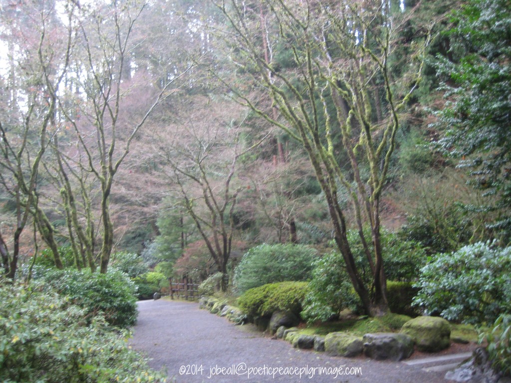 Named Divine 30 Japanese Garden 12-29-14 002 Wildpeace