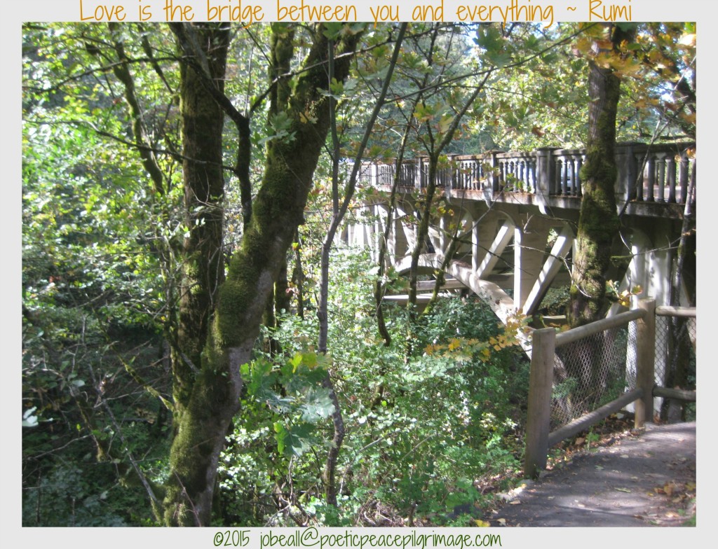 Named Organic October 18 Rumi Bridge at Columbia Gorge 10-4-15