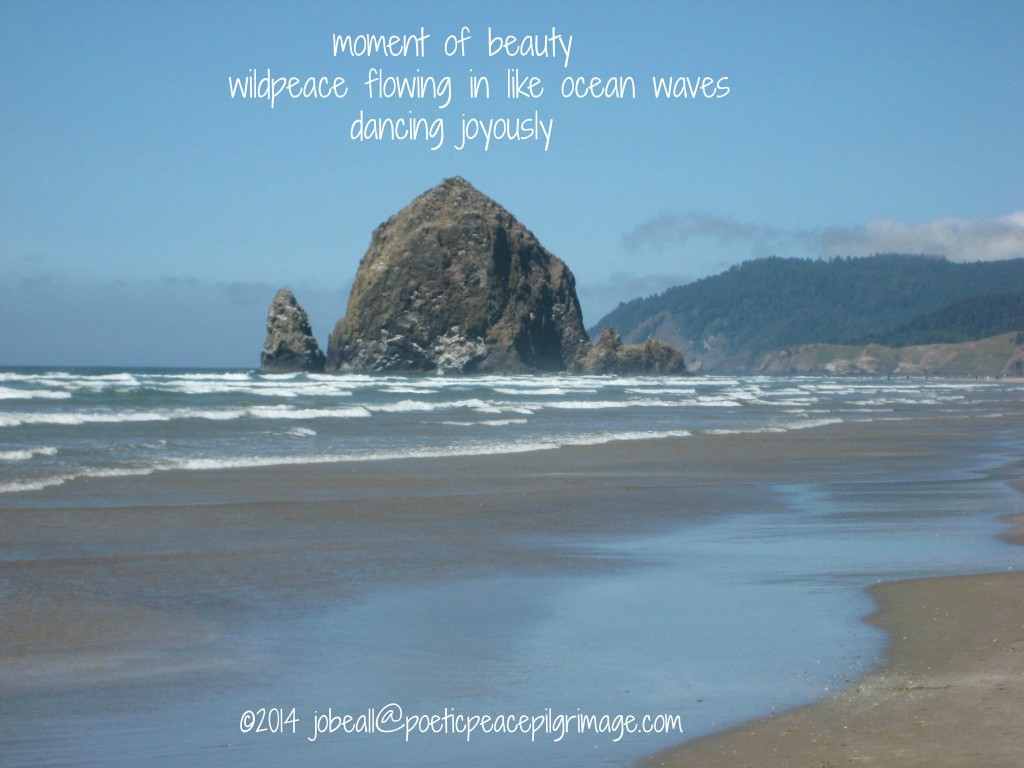 Named Journeying January 26 Oregon Coast Pilgrimage July 2014 003 Wildpeace