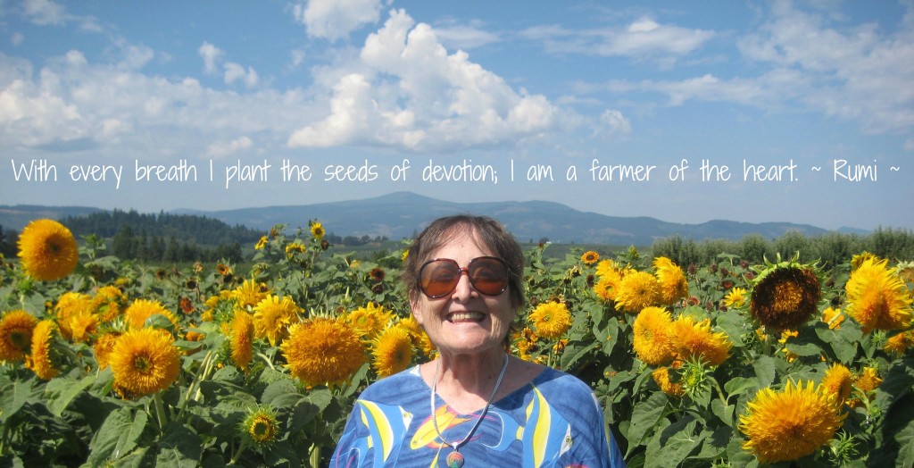 Named Jubilee June 27 Sunflower Festival Aug 2014 002 Farmer of Heart.