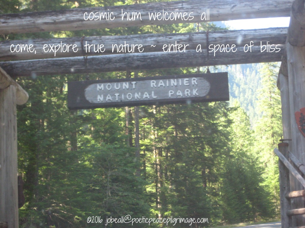 Named Awakening August 25 Entering Mt Rainier July B'day Pilgrimage 031