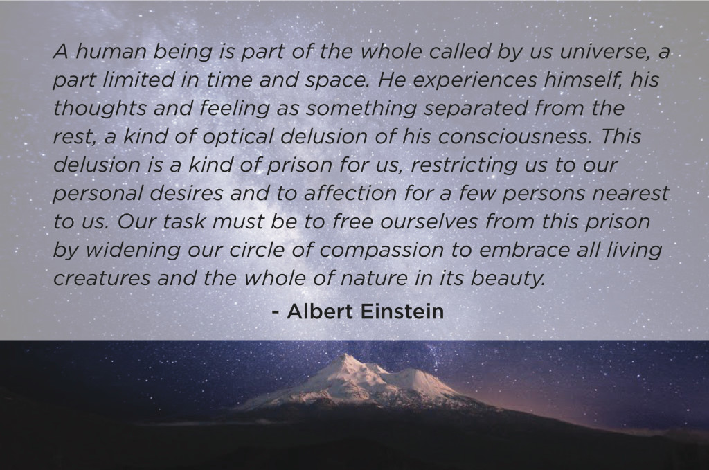 Named Freely Flowing February 11 2017 Einstein Compassion Task