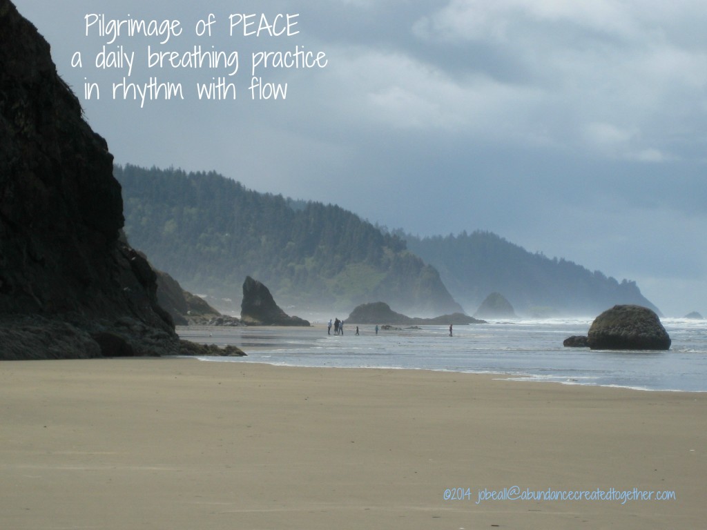 Named Meditative March 26 Plgrimage of PEACE Ocean 5-13-2009